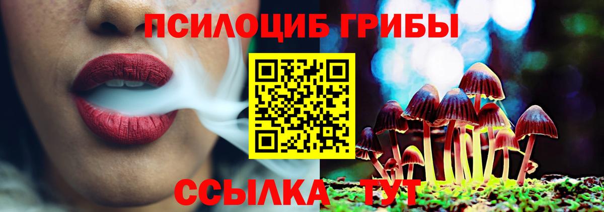Усть-Илимск  Псилоцибиновые грибы MAGIC MUSHROOMS  Вход с VPN 